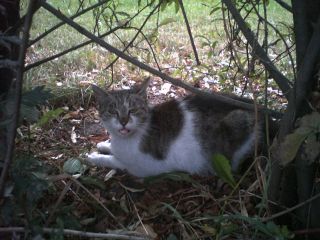 … nie tylko my – 'Co za ludzie, przeszkadzają w drzemce' ;-)